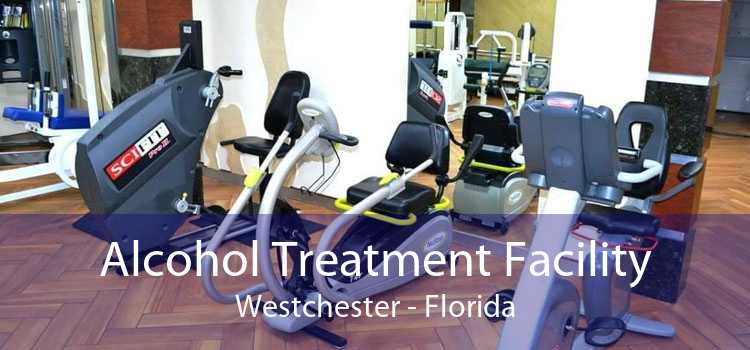 Alcohol Treatment Facility Westchester - Florida