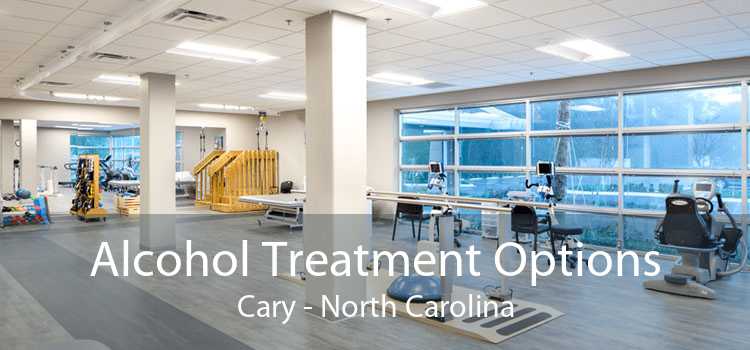 Alcohol Treatment Options Cary - North Carolina