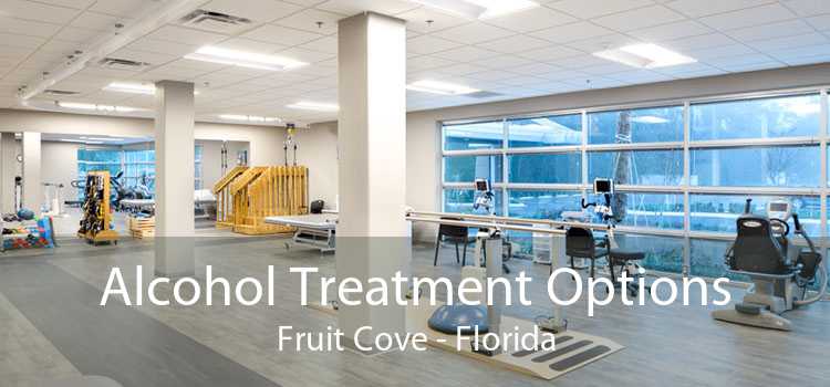 Alcohol Treatment Options Fruit Cove - Florida