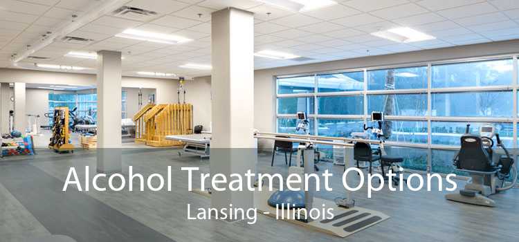 Alcohol Treatment Options Lansing - Illinois