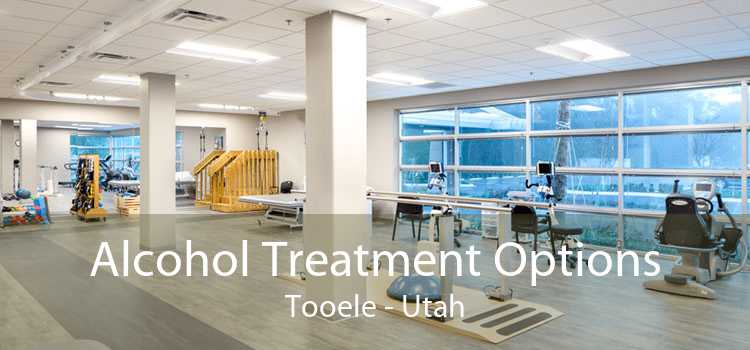 Alcohol Treatment Options Tooele - Utah